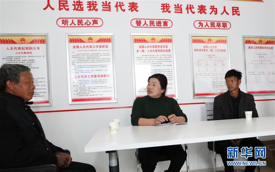 (兩會·圖片故事)(5)全國人大代表王永蘭:推進鄉村振興 打造美麗田園