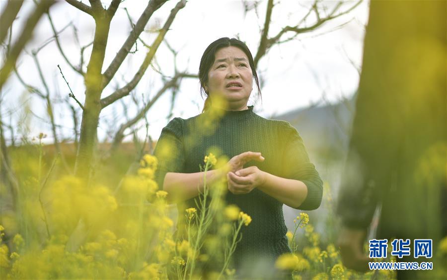 (兩會·圖片故事)(8)全國人大代表王永蘭:推進鄉村振興 打造美麗田園