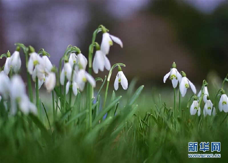（國際）（5）早春法蘭克福