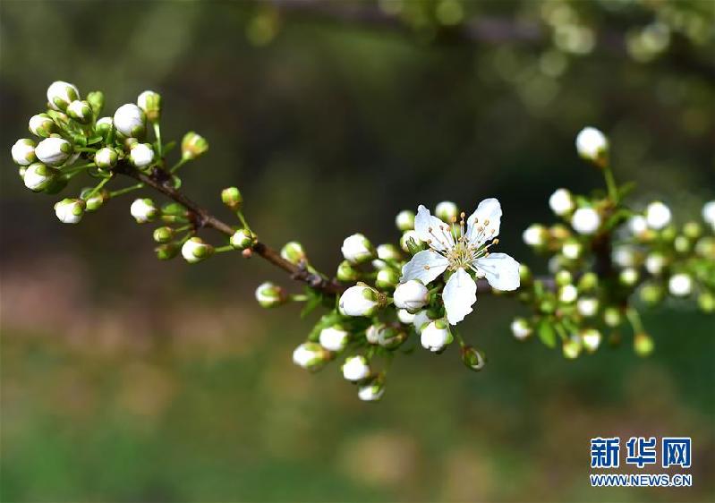 （國際）（6）早春法蘭克福