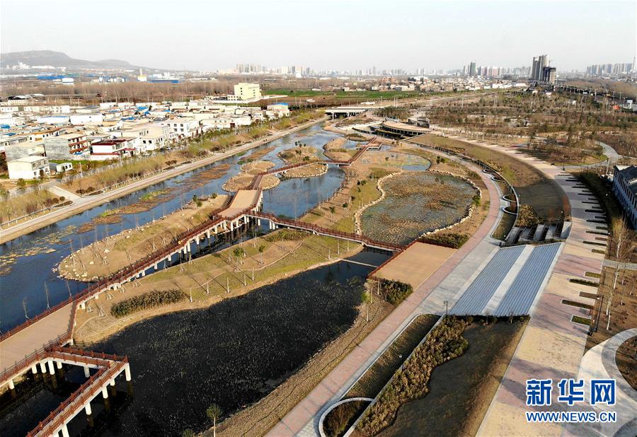 （走基層 聽民聲）（2）一座城市的綠色“轉身”