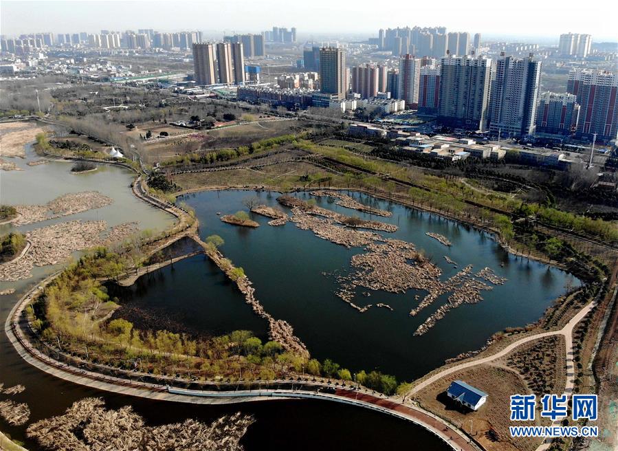 （走基層 聽民聲）（6）一座城市的綠色“轉身”