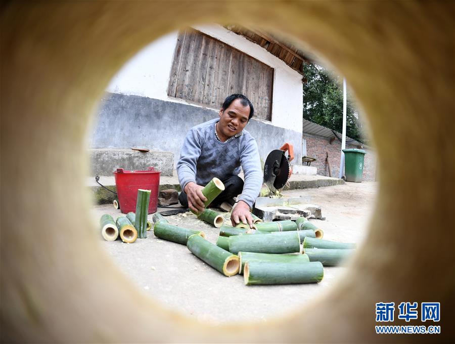 (圖片故事)(5)用雙手“走”出的脫貧路
