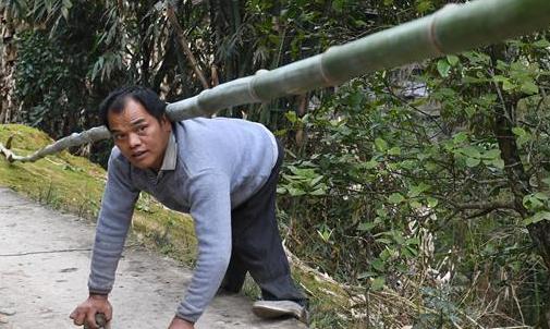 （圖片故事）（1）用雙手“走”出的脫貧路
