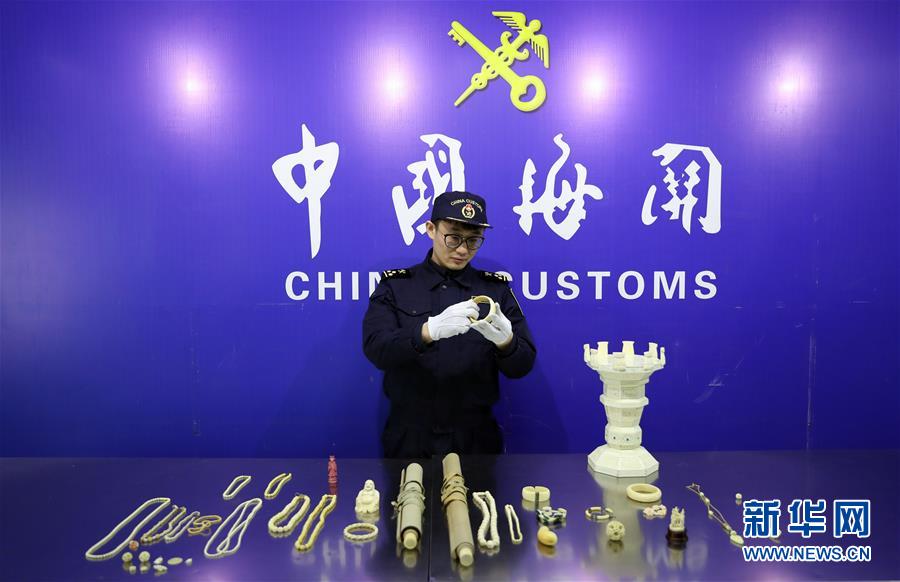 （圖文互動）（1）沈陽海關今年已在進境郵遞渠道查獲11起象牙案件