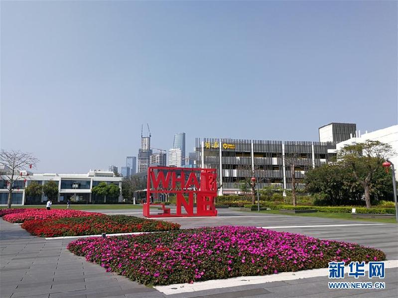（圖文互動）（1）粵港澳大灣區揚帆起航：為“一帶一路”建設提供有力支撐