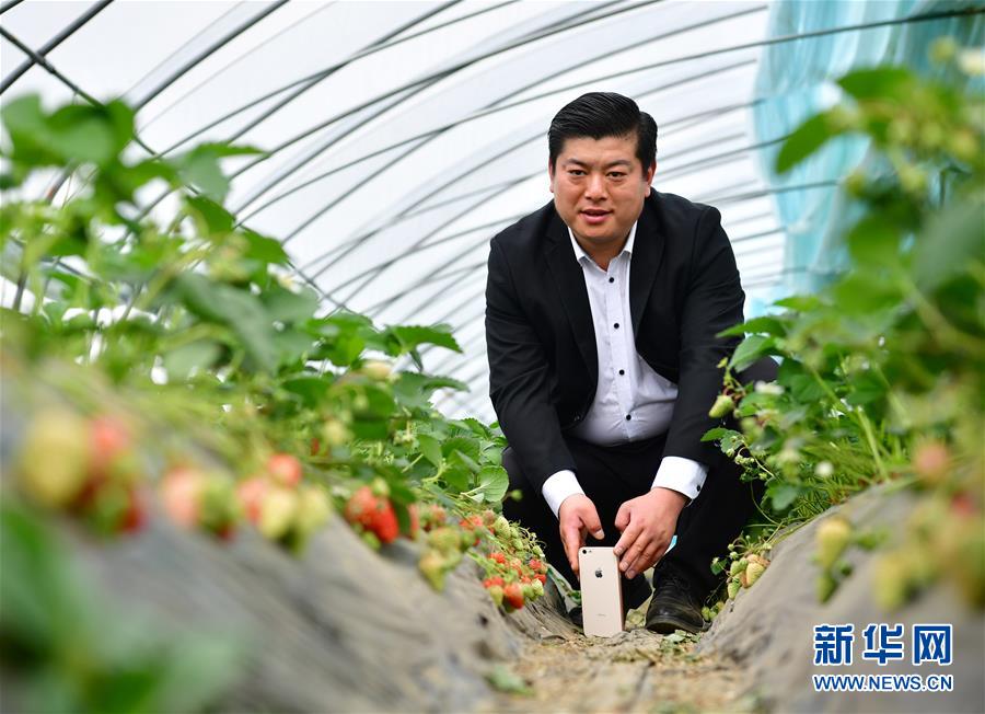 （關注春耕備耕·圖文互動）（1）“網紅”農民翟文波：手機也能成為新農具