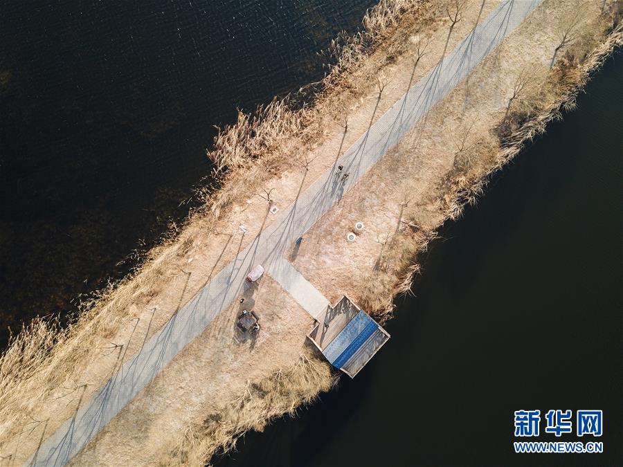 （社會(huì)）（1）北京野鴨湖國(guó)家濕地公園開(kāi)園迎客