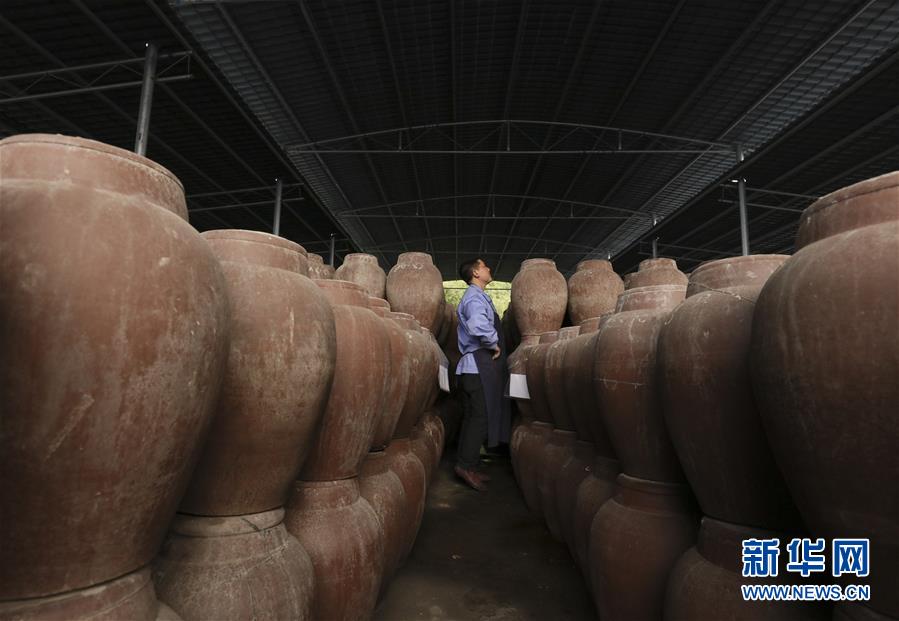 (圖片故事)(14)涪陵榨菜:舌尖上的“國民下飯菜”