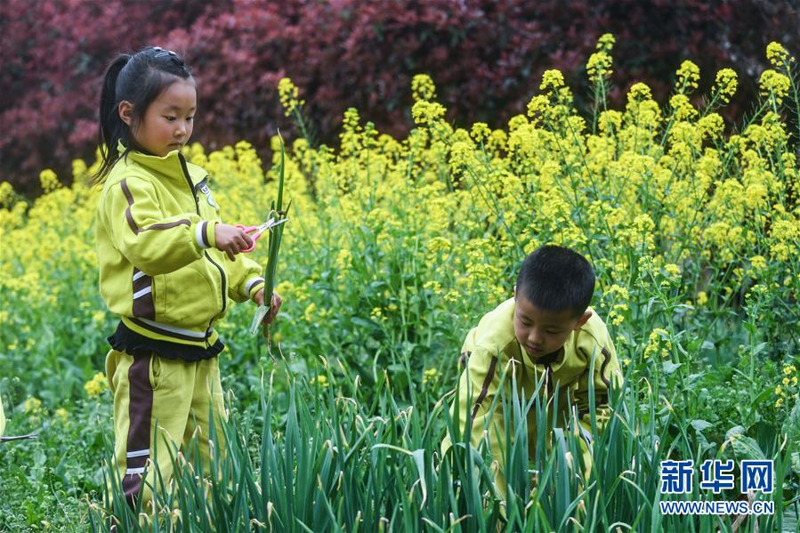 (教育)(3)幼兒園里的“田園餐桌”