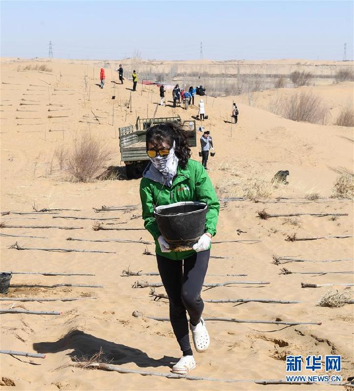（環境）（3）中韓青年在內蒙古庫布其沙漠植綠