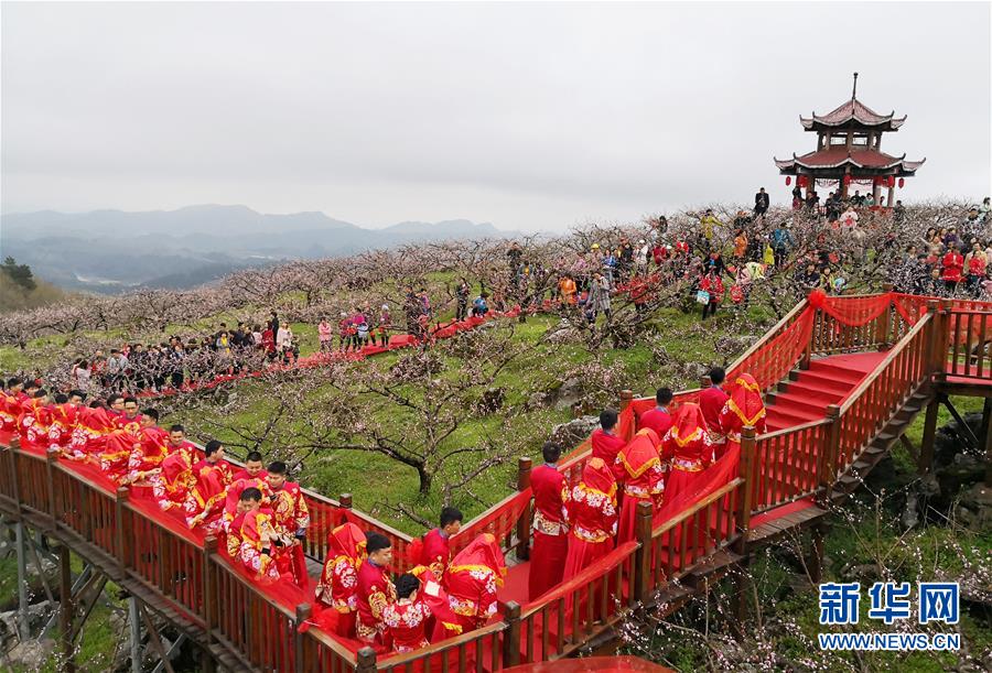 （社會）（3）貴州石阡：桃園里的集體婚禮