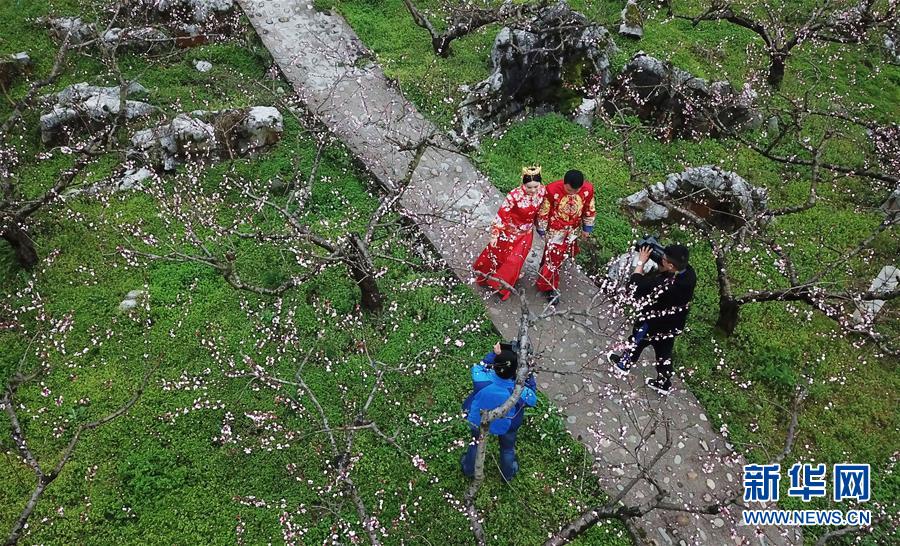 （社會）（6）貴州石阡：桃園里的集體婚禮