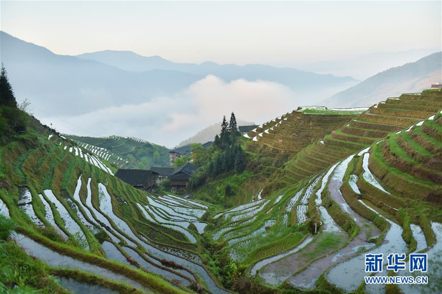 （春季美麗生態）（4）壯寨晨景