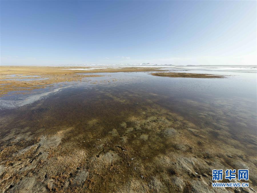 (圖文互動)(2)新疆阿爾金山保護區生態恢復趨好