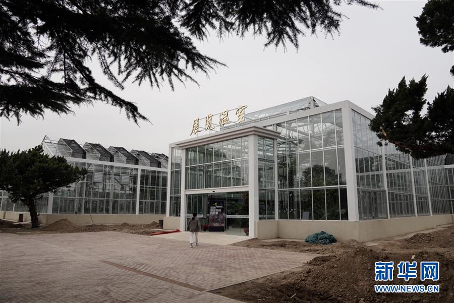 （科技）（4）北京最“年長”植物溫室重新開放