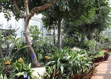 （科技）（1）北京最“年長”植物溫室重新開放