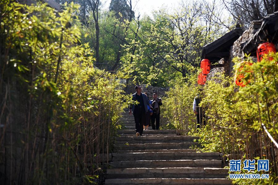 (圖文互動)(7)“下山”變“上山”——千年古石村的美好“新石代”