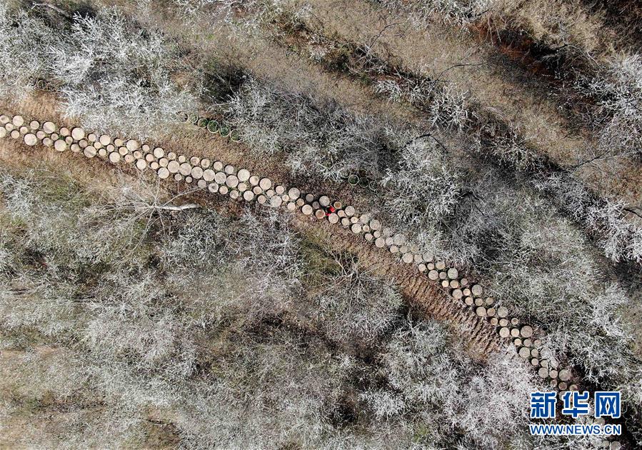 （來自一線的調查報告·圖文互動）（3）大山里的“愛和小鎮”：當鄉村遇上藝術