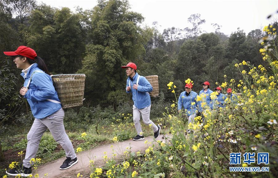 (圖片故事)(2)重慶九龍坡的“背簍醫生”