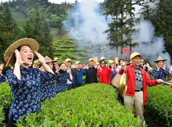 （社會(huì)）（2）武夷山：生態(tài)茶園 祭茶喊山