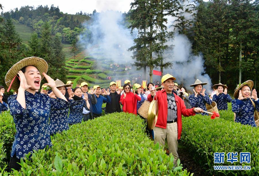 （社會）（2）武夷山：生態(tài)茶園 祭茶喊山