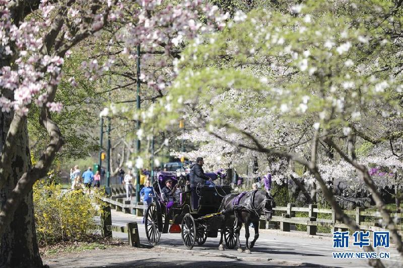 (國際·北京世園會)(9)世界園林巡禮——紐約的城市花園:中央公園