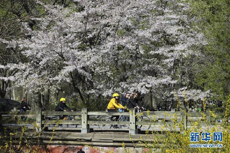 (國際·北京世園會)(13)世界園林巡禮——紐約的城市花園:中央公園