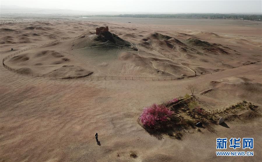 （環(huán)境）（1）陽(yáng)關(guān)古道桃花艷