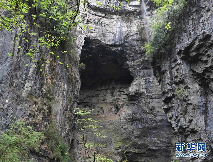(美麗中國(guó))(6)走近寧強(qiáng)地洞河天坑