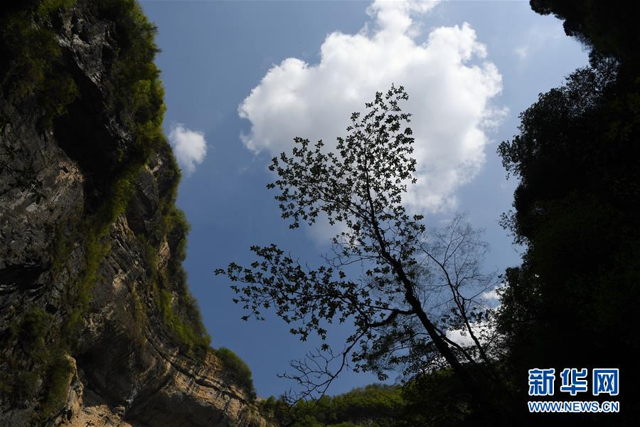 (美麗中國(guó))(7)走近寧強(qiáng)地洞河天坑