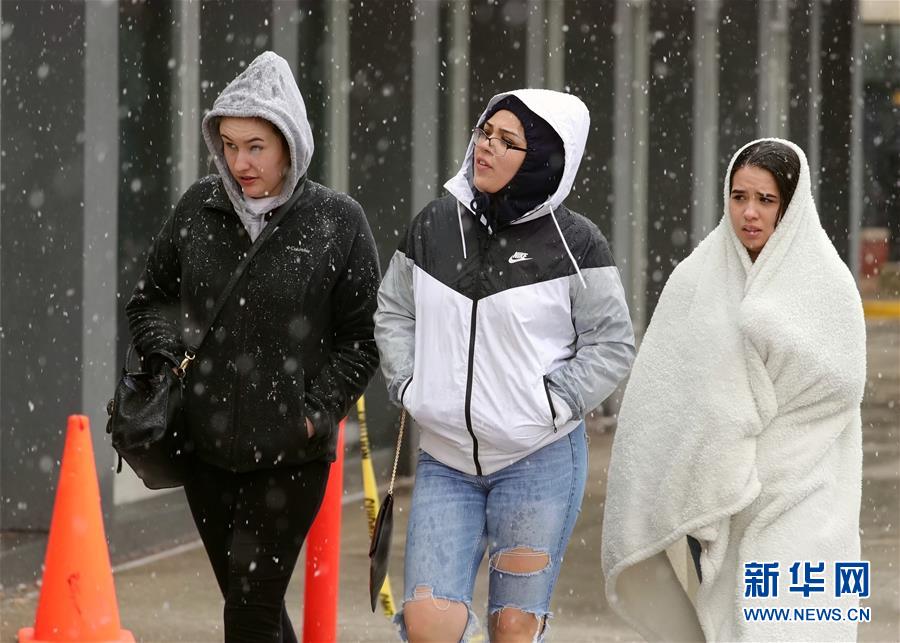 (國際)(5)芝加哥的四月雪