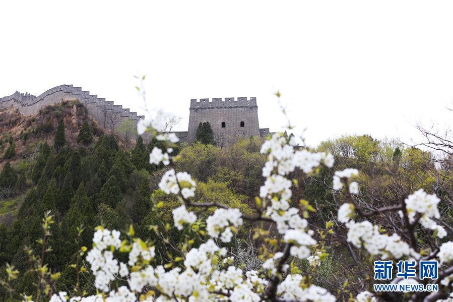 (北京世園會)(3)生態中國·名山雄關啟津門