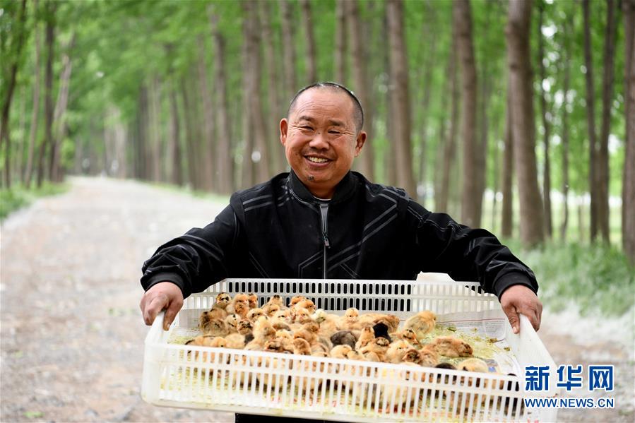 （社會）（1）愛心雞苗送貧困戶