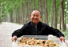 （社會）（1）愛心雞苗送貧困戶