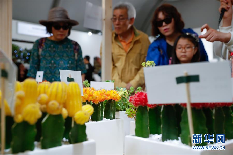 （國際）（2）在韓國高陽看花的海洋