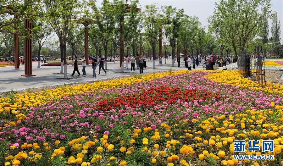 (北京世園會)(5)北京世園會園區成為京郊旅游新熱點