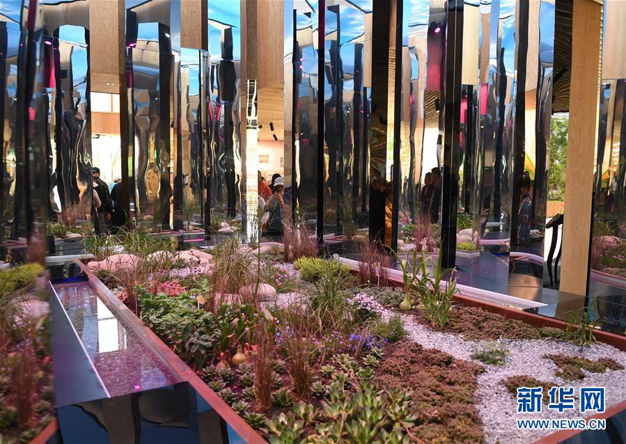 (北京世園會)(3)北京世園會迎來“德國國家日”