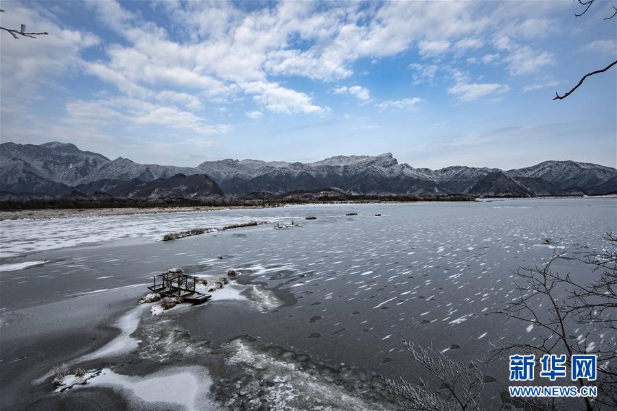 （壯麗70年·奮斗新時代·圖文互動）（1）從開山伐木到全面保護——神農架國家公園的生態協奏曲