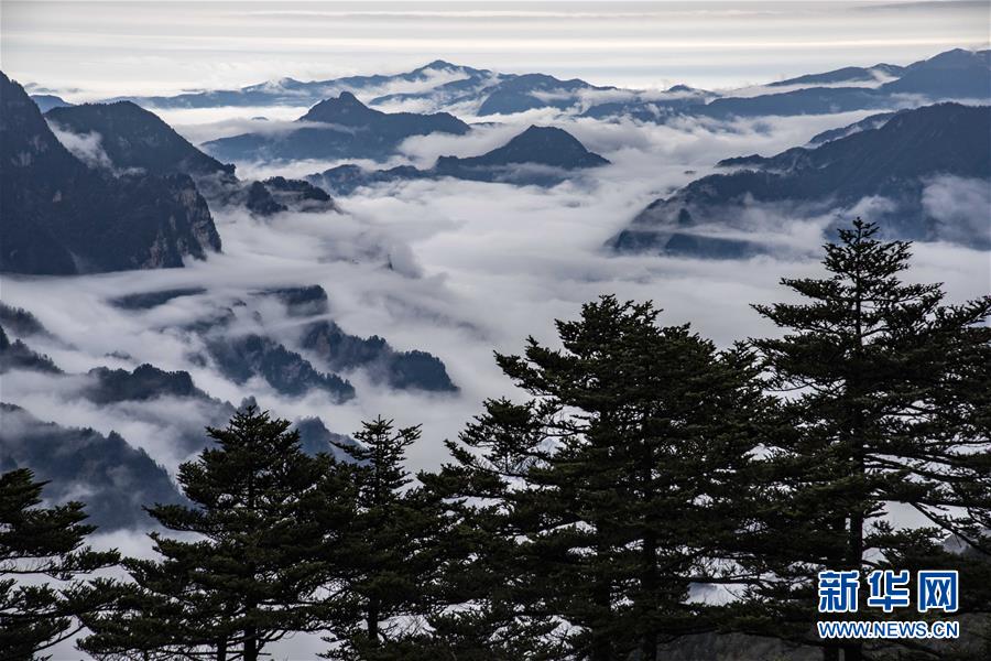 （壯麗70年·奮斗新時代·圖文互動）（4）從開山伐木到全面保護——神農架國家公園的生態協奏曲