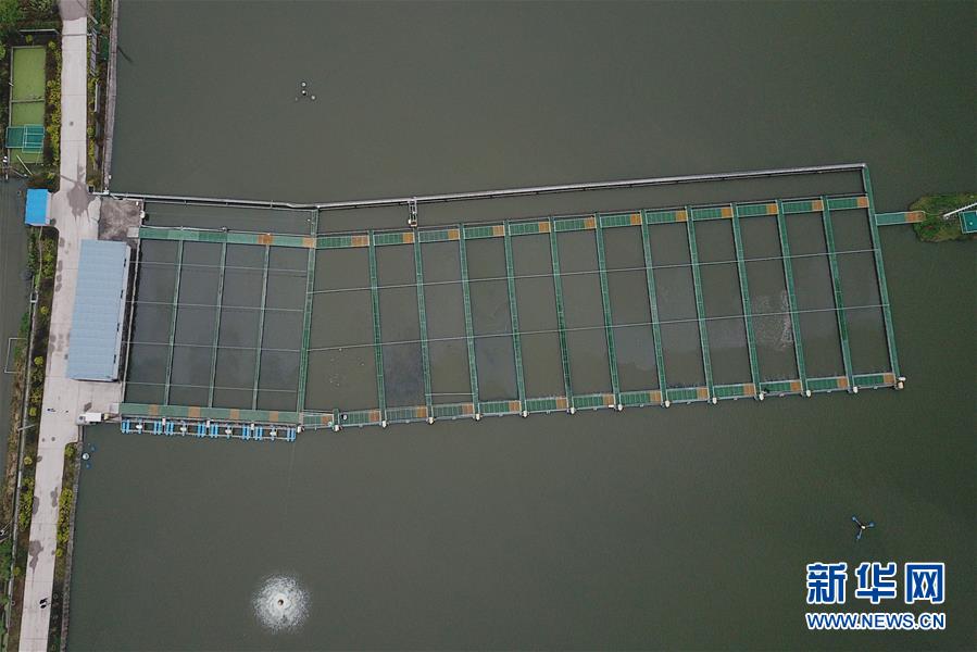 (經(jīng)濟(jì))(3)浙江湖州:把魚養(yǎng)在“跑道”里