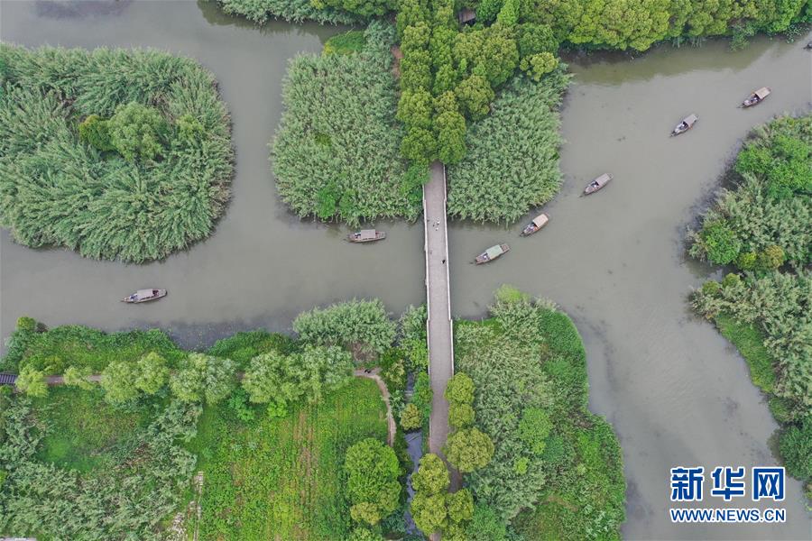 (美麗中國)(3)沙家浜里好風光
