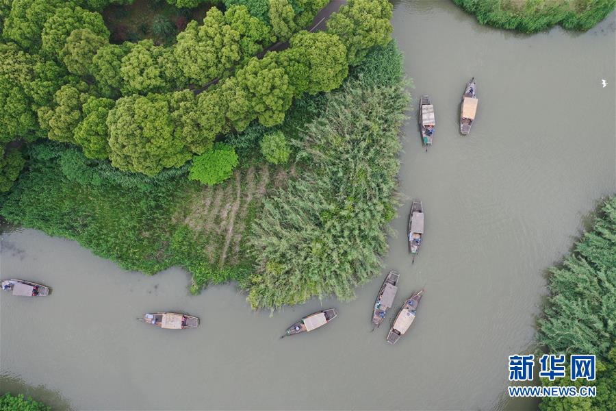 (美麗中國)(4)沙家浜里好風光