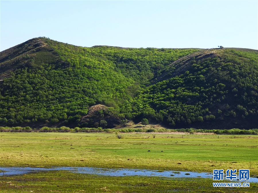 （環境）（3）內蒙古草原陸續進入返青期