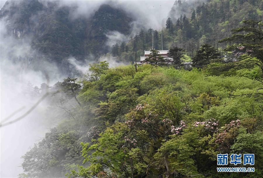 （美麗中國）（2）峨眉山景色秀美