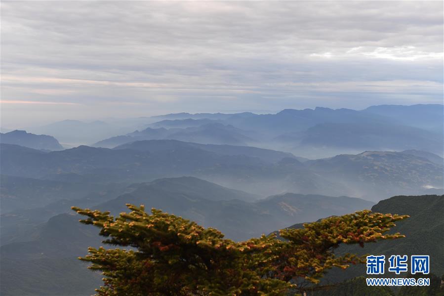 （美麗中國）（4）峨眉山景色秀美