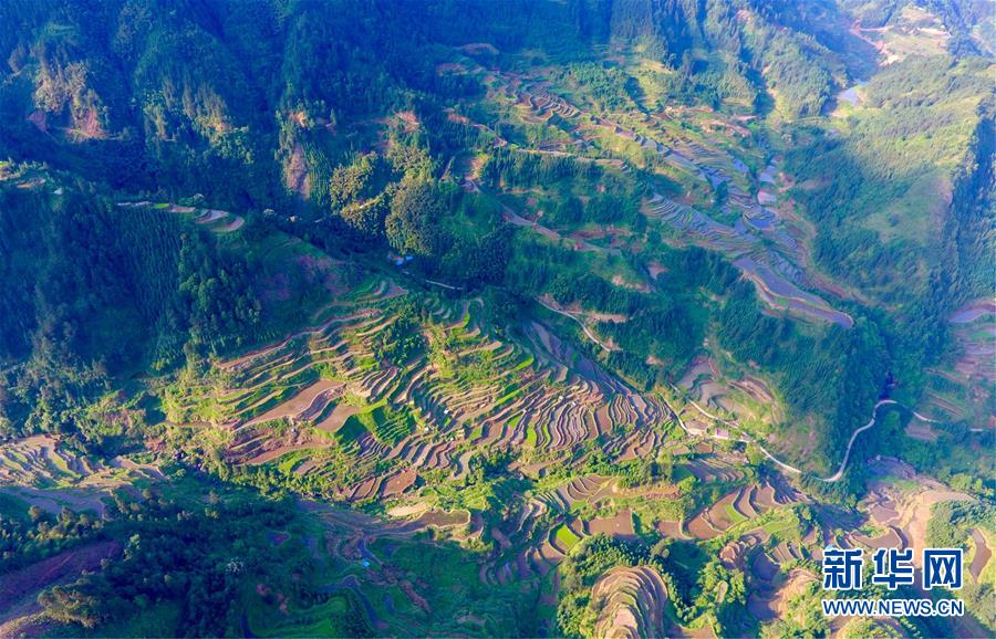 (環境)(3)苗山梯田美如畫