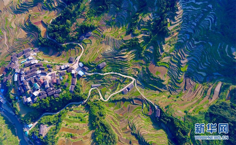 (環境)(5)苗山梯田美如畫