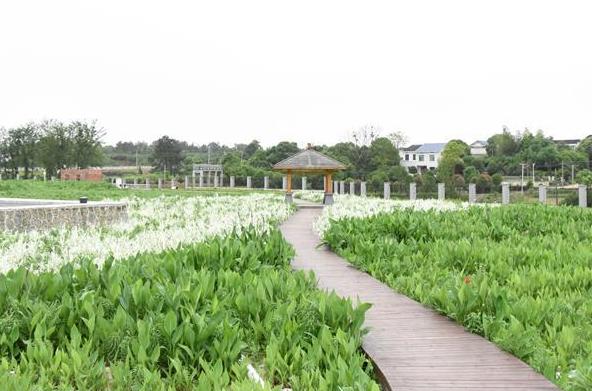 （圖文互動(dòng)）（2）治水瀏陽河 河水當(dāng)重清