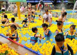 （社會）（5）廣州：與小黃鴨同戲水